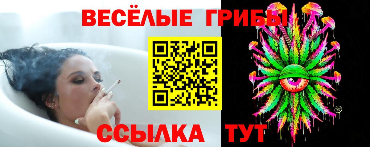 Псилоцибиновые грибы Psilocybe Соль-Илецк