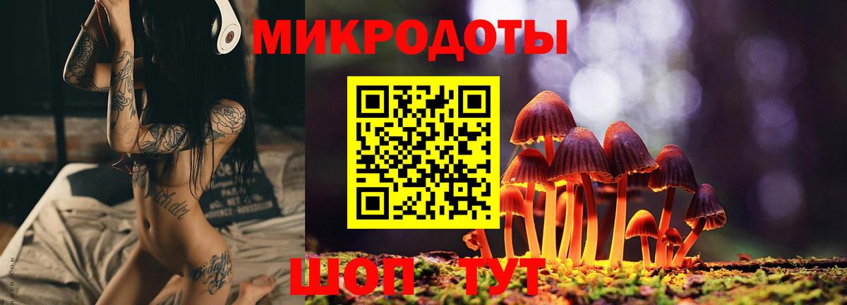 Галлюциногенные грибы GOLDEN TEACHER  Псилоцибиновые грибы Psilocybe  Соль-Илецк  Вход с VPN 