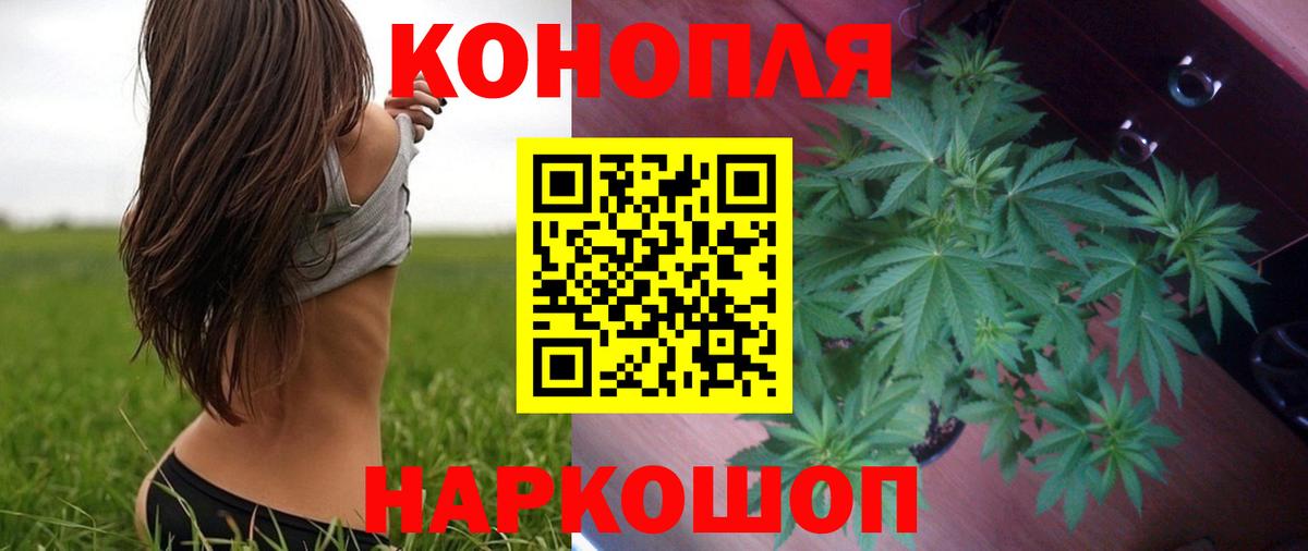 Шишки марихуана Ganja  Бошки Шишки план  Вход с VPN  Каннабис планчик  Соль-Илецк 